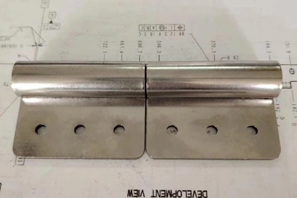 304 Exposed Flag Hinges